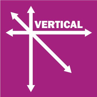 Vertical Survey Services